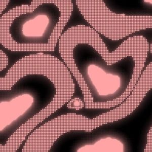 Meet your Posher, Charlotte